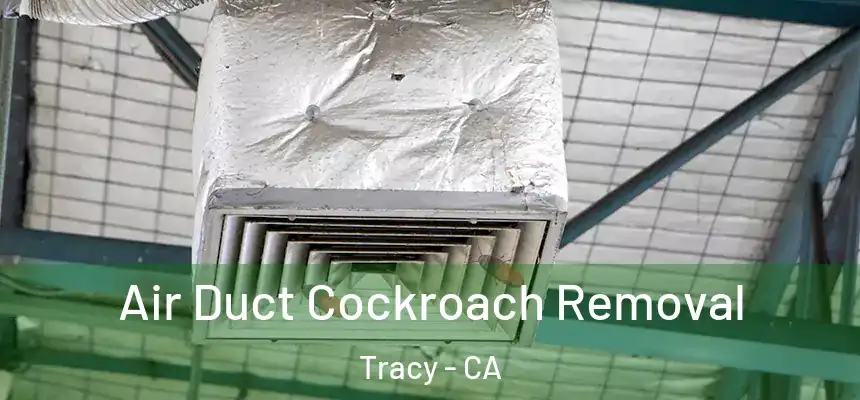 Air Duct Cockroach Removal Tracy - CA