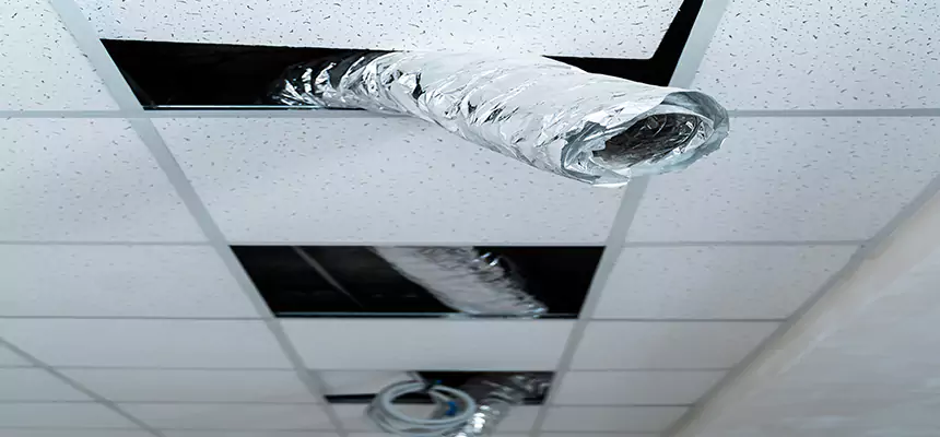 Affordable HVAC Sanitizing After Pest Removal in Tracy