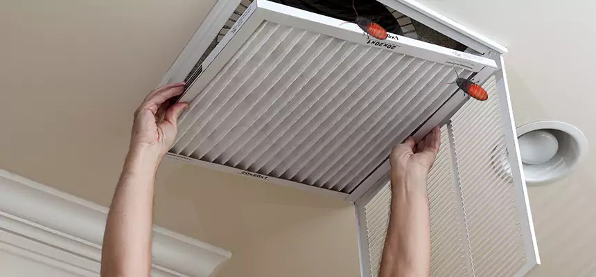Our Insect Removal from Air Ducts Services in Tracy, CA
