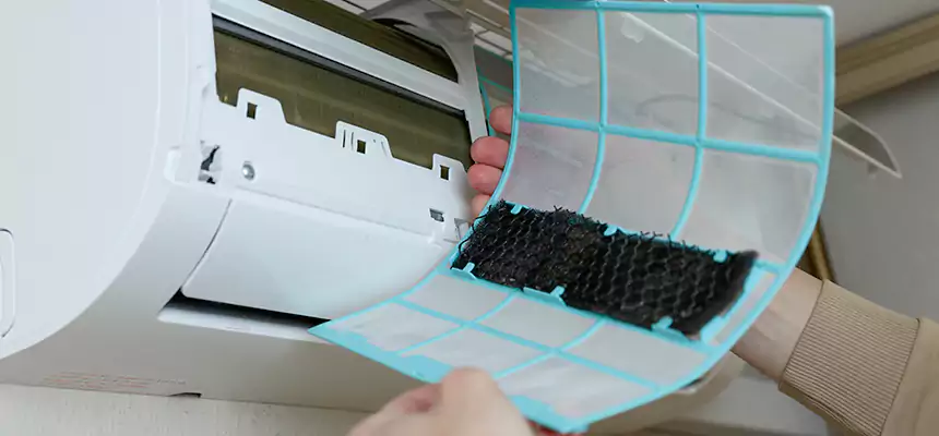 Gentle Ductwork Odor-Control Pet Dander Duct Cleaning in Tracy, CA