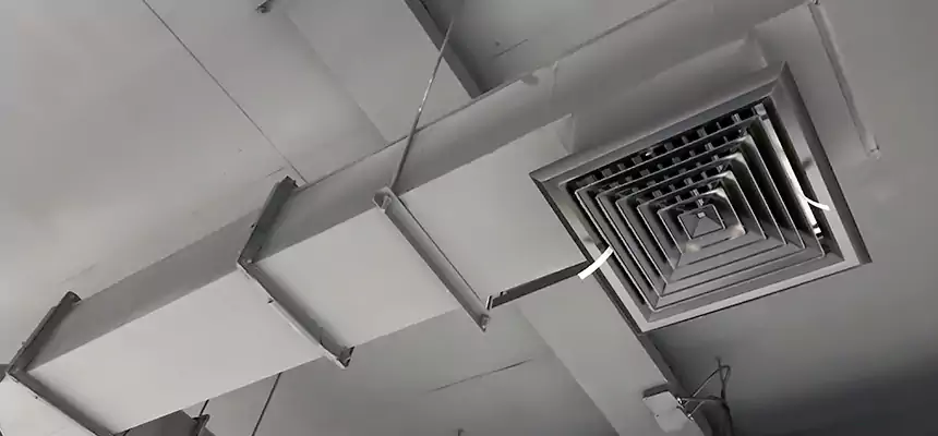 Our Rodent Droppings In Vents Services in Tracy, CA