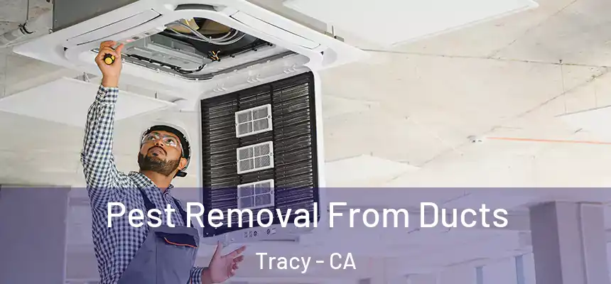 Pest Removal From Ducts Tracy - CA