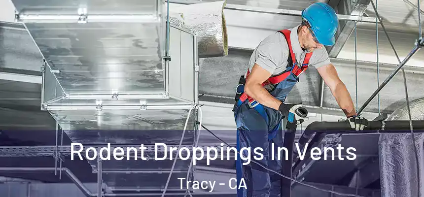 Rodent Droppings In Vents Tracy - CA