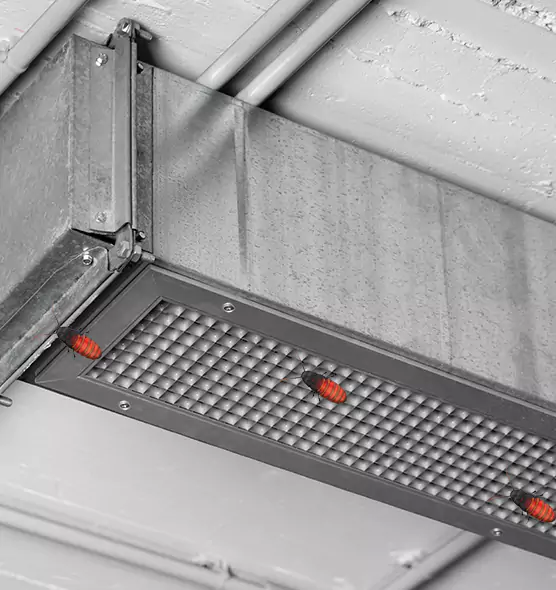 Affordable Insect Removal from Air Ducts in Tracy, CA