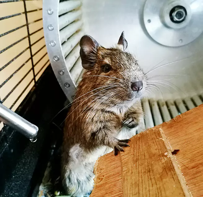 Why Homeowners & Businesses Trust Us Tracy, CA?