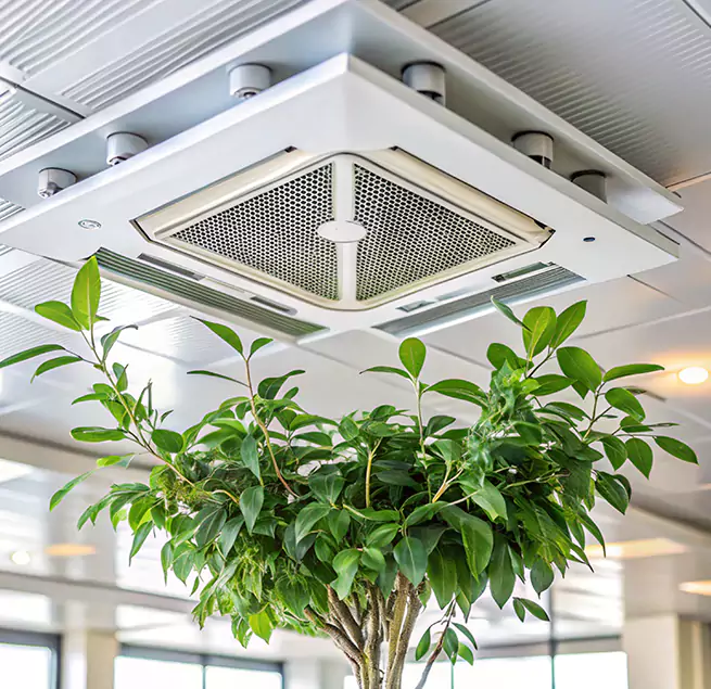 Why Homeowners & Businesses Trust Us in Tracy, CA?