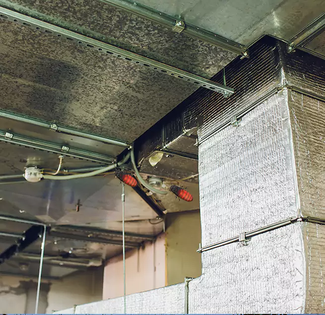 Why Homeowners & Businesses Trust Us Tracy, CA?